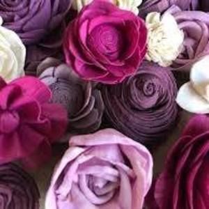 Meet your Posher, Layla